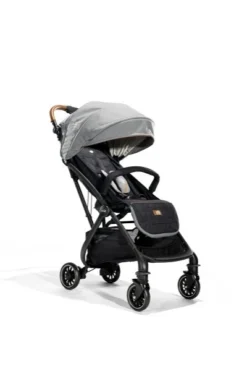 Joie Signature Tourist Buggy Carbon